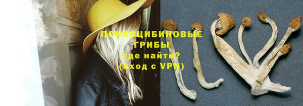 бутират Сатка