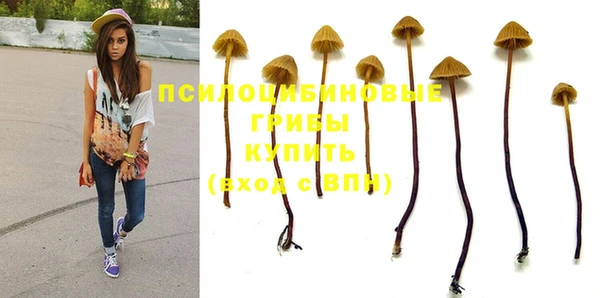 спайс Саяногорск