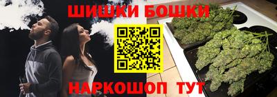 винт Канаш