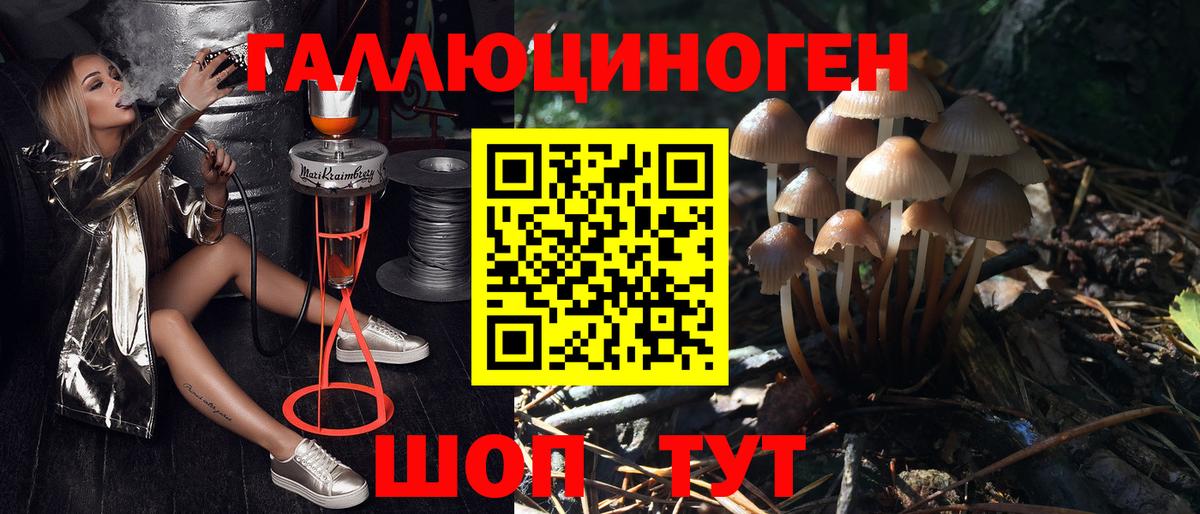Cocaine  Вход с VPN  APVP СК кристаллы  Советск  ГАШ  Марихуана  Меф  