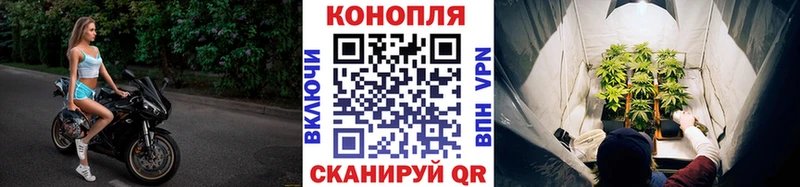 Бошки Шишки план  наркота  Советск 